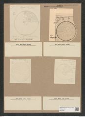 Coscinodiscus nitidus var. moronensis Grove. (de-Toni-Nr.: Genus 202, Species 4912) Zeichnungen Sammlung Grunow Nr. 8680 (NHMW-BOT-W0378093)